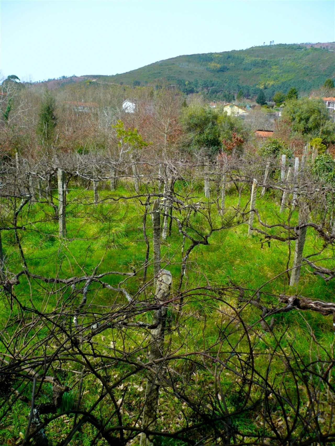 Moradia T3 para Venda em Covas Foto 29