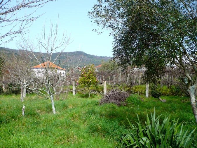 Moradia T3 para Venda em Covas Foto 27