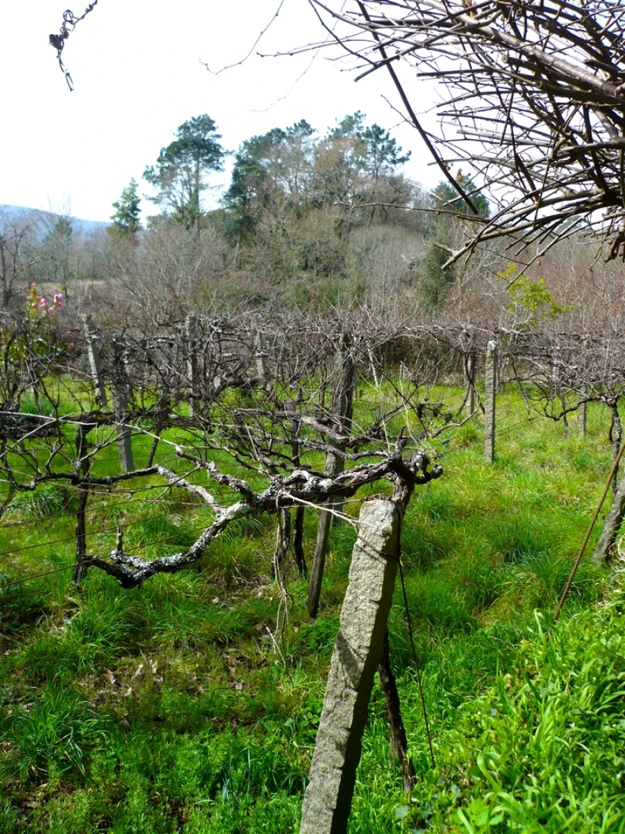 Moradia T3 para Venda em Covas Foto 28