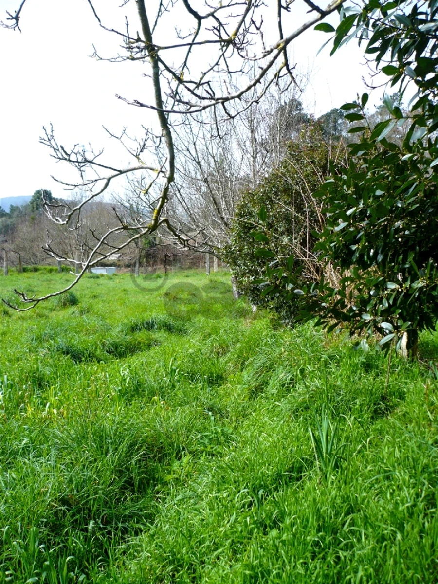 Moradia T3 para Venda em Covas Foto 25