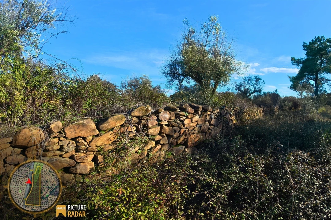 Terreno Agricola ou Rústico para Venda em Salgueiro do Campo Foto 12
