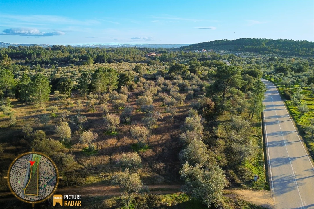 Terreno Agricola ou Rústico para Venda em Salgueiro do Campo Foto 10