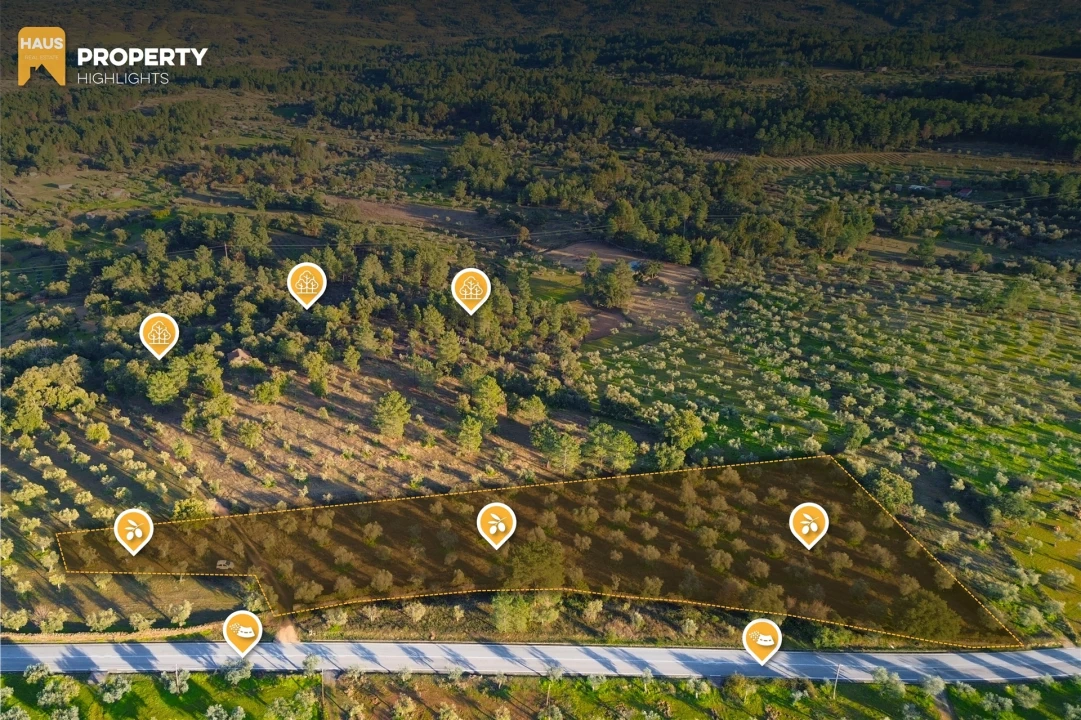 Terreno Agricola ou Rústico para Venda em Salgueiro do Campo Foto 4