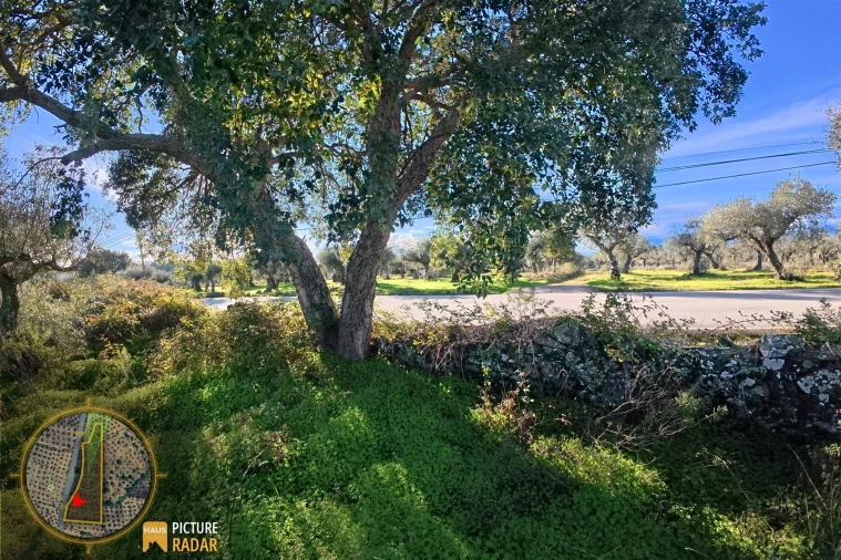 Terreno Agricola ou Rústico para Venda em Salgueiro do Campo Foto 5
