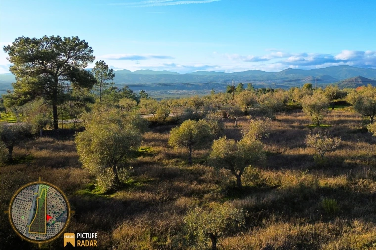 Terreno Agricola ou Rústico para Venda em Salgueiro do Campo Foto 6