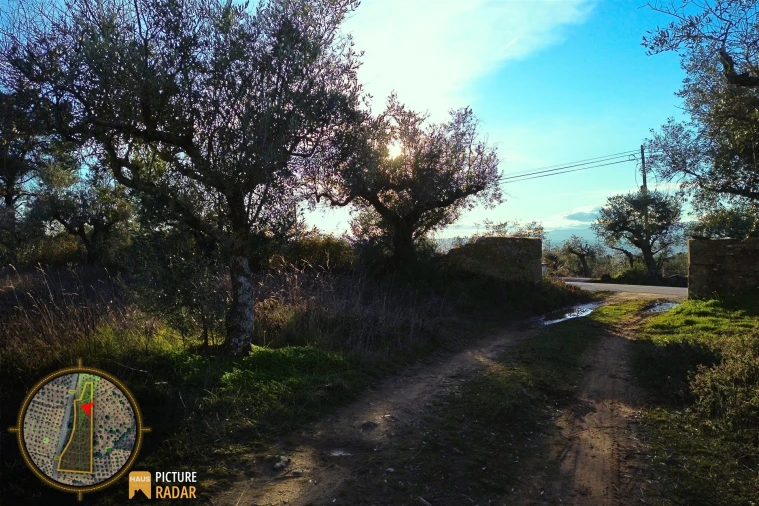Terreno Agricola ou Rústico para Venda em Salgueiro do Campo Foto 13