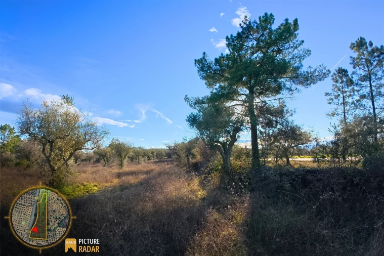 Terreno Agricola ou Rústico para Venda em Salgueiro do Campo Foto 18