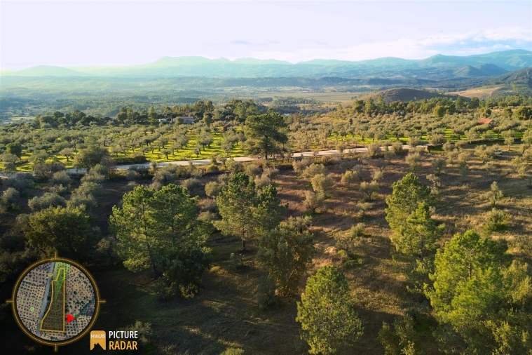 Terreno Agricola ou Rústico para Venda em Salgueiro do Campo Foto 17