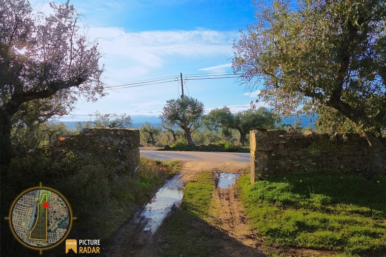 Terreno Agricola ou Rústico para Venda em Salgueiro do Campo Foto 19