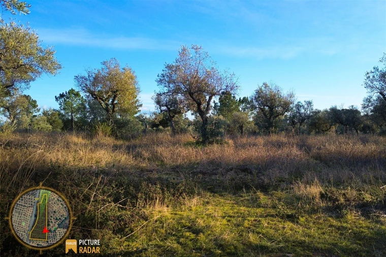 Terreno Agricola ou Rústico para Venda em Salgueiro do Campo Foto 16