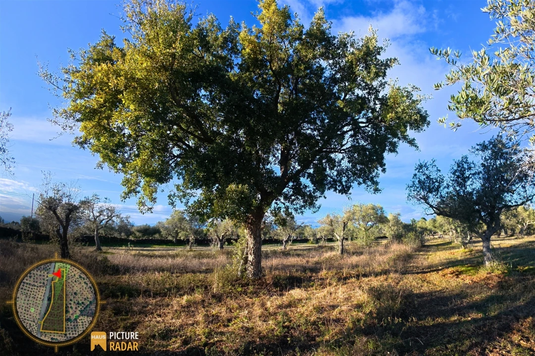 Terreno Agricola ou Rústico para Venda em Salgueiro do Campo Foto 28