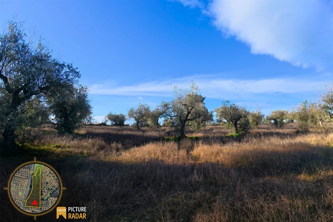 Terreno Agricola ou Rústico para Venda em Salgueiro do Campo Foto 25