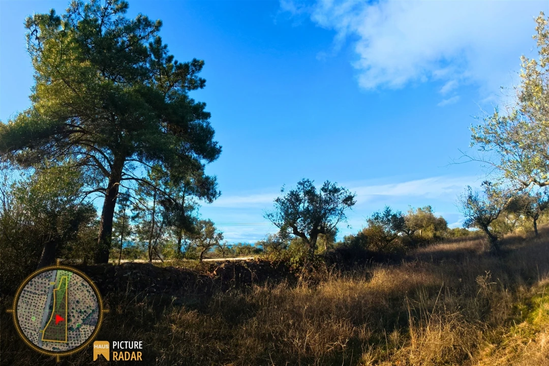 Terreno Agricola ou Rústico para Venda em Salgueiro do Campo Foto 23