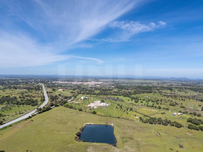 Quinta T6 para Venda em Alpalhão Foto 49