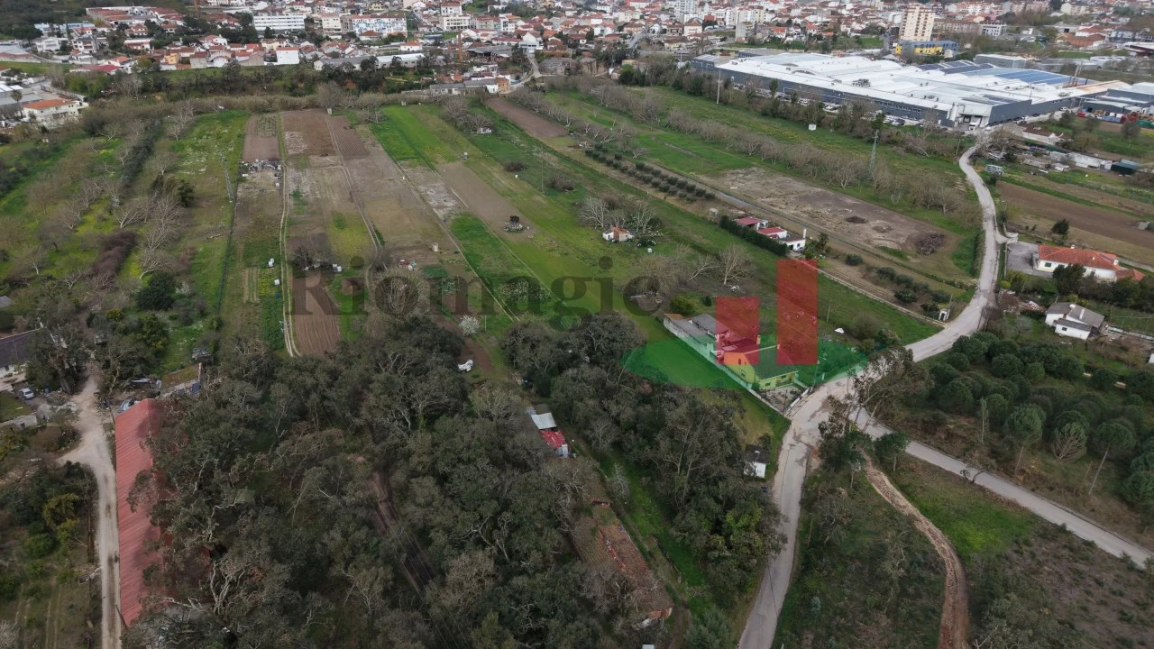 Terreno Agricola ou Rústico para Venda em Rio Maior Foto 3