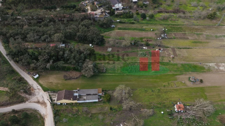 Terreno Agricola ou Rústico para Venda em Rio Maior Foto 7