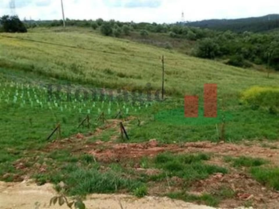 Quinta T5 para Venda em Rio Maior Foto 20