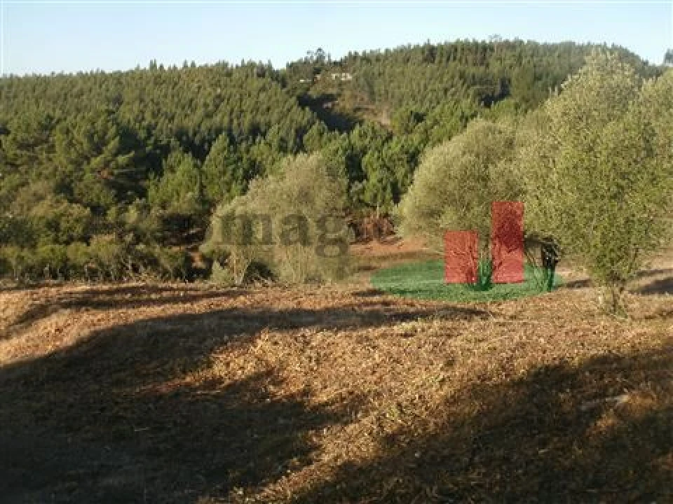 Quinta T5 para Venda em Rio Maior Foto 27