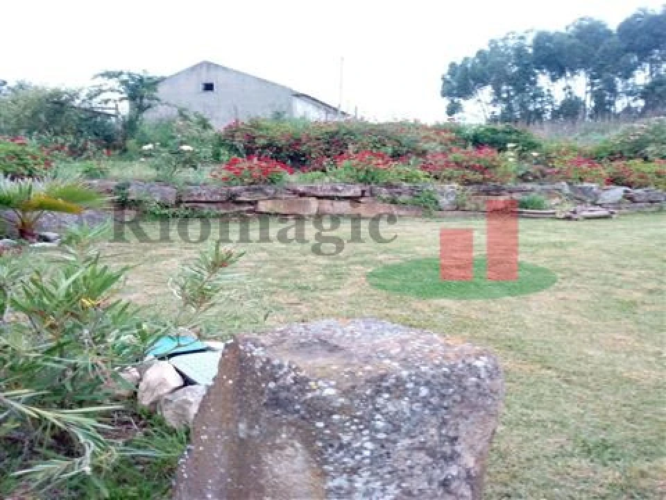 Quinta T5 para Venda em Rio Maior Foto 35