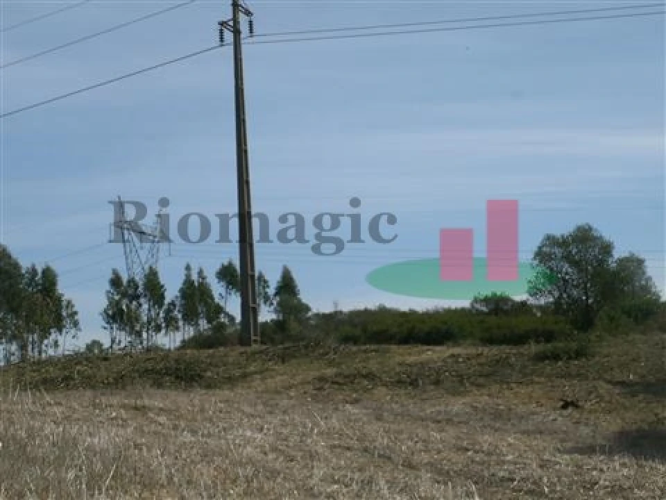 Quinta T5 para Venda em Rio Maior Foto 37