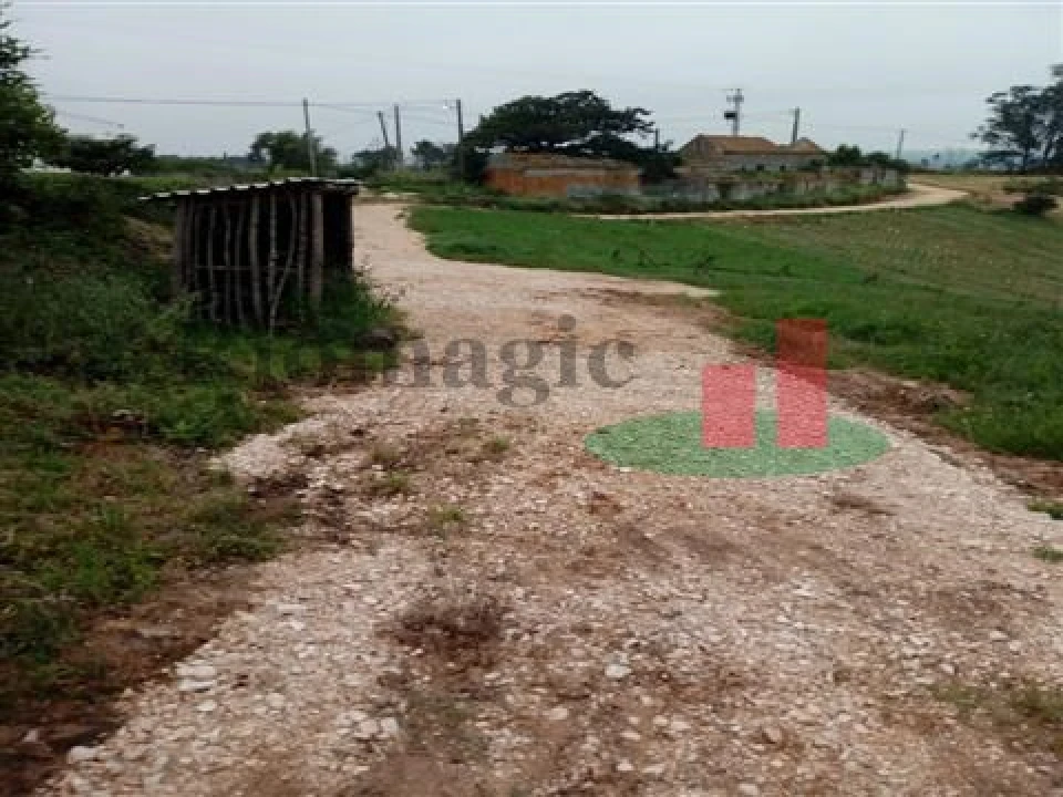 Quinta T5 para Venda em Rio Maior Foto 42