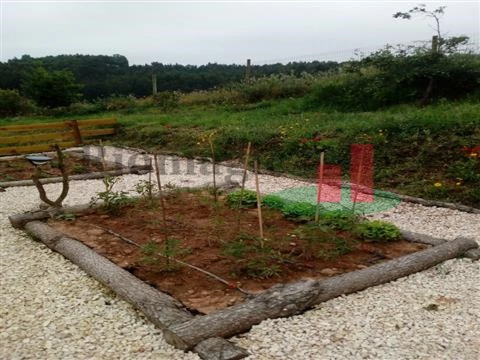 Quinta T5 para Venda em Rio Maior Foto 49