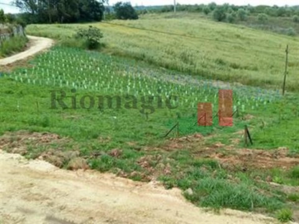 Quinta T5 para Venda em Rio Maior Foto 58