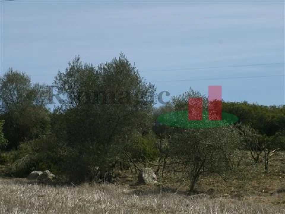 Quinta T5 para Venda em Rio Maior Foto 59