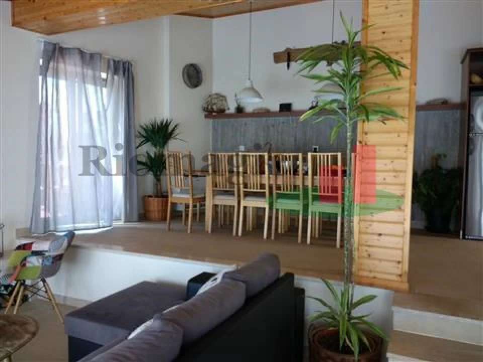 Quinta T5 para Venda em Rio Maior Foto 82