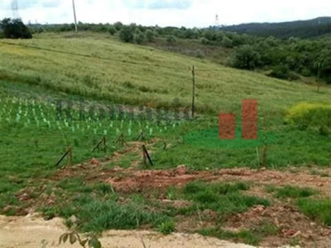 Quinta T5 para Venda em Rio Maior Foto 20