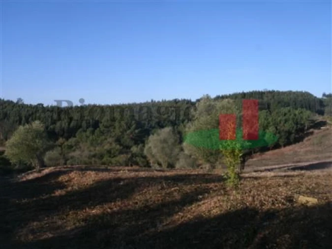 Quinta T5 para Venda em Rio Maior Foto 22