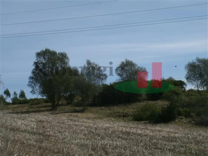 Quinta T5 para Venda em Rio Maior Foto 23