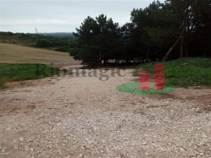 Quinta T5 para Venda em Rio Maior Foto 24