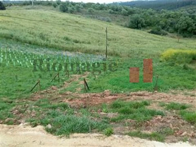 Quinta T5 para Venda em Rio Maior Foto 25