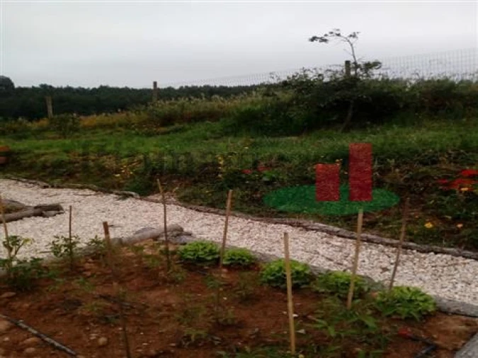 Quinta T5 para Venda em Rio Maior Foto 26