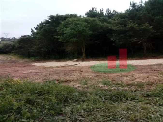 Quinta T5 para Venda em Rio Maior Foto 31