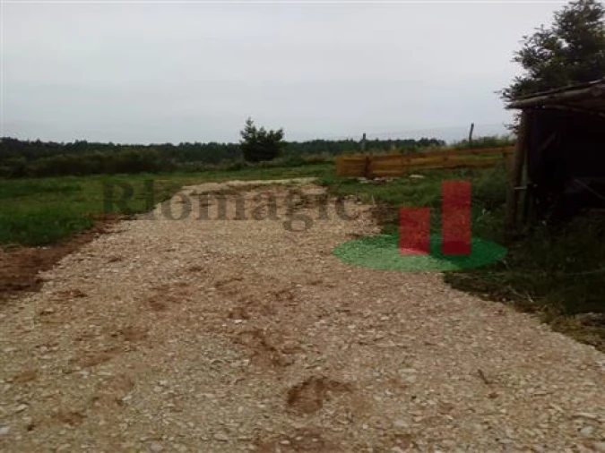 Quinta T5 para Venda em Rio Maior Foto 33