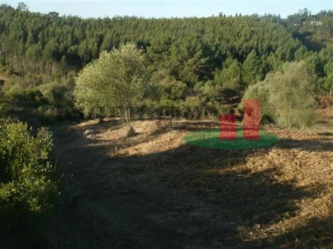 Quinta T5 para Venda em Rio Maior Foto 39