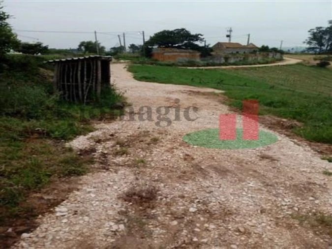 Quinta T5 para Venda em Rio Maior Foto 42