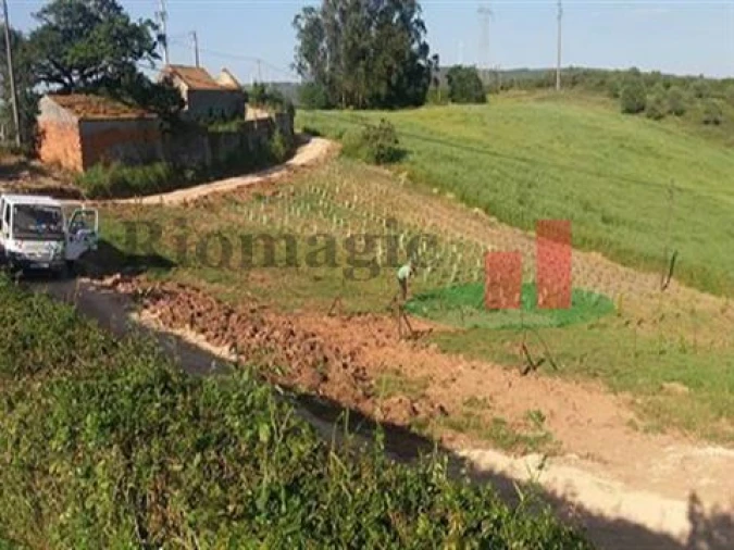 Quinta T5 para Venda em Rio Maior Foto 43