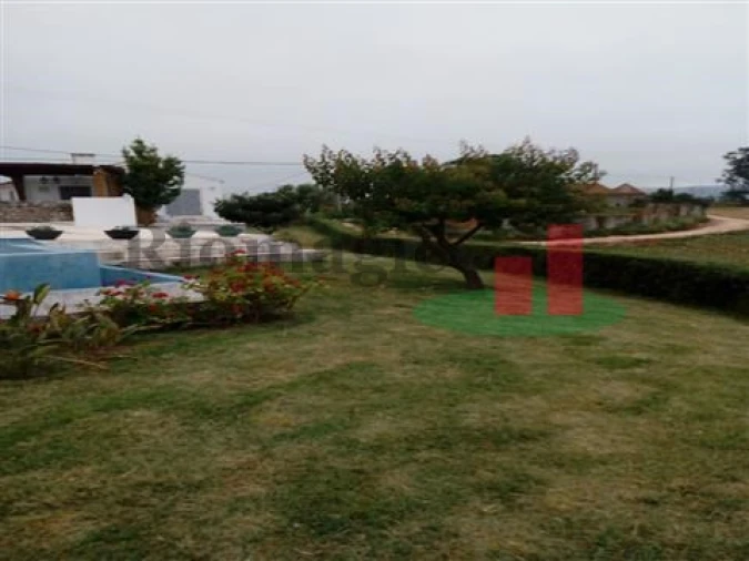 Quinta T5 para Venda em Rio Maior Foto 47