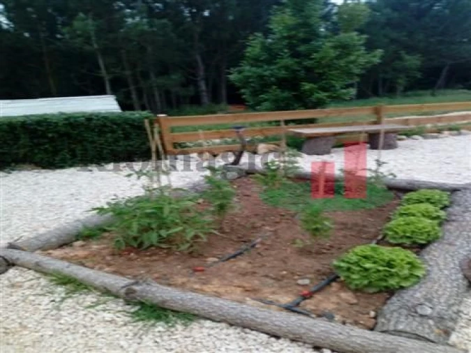 Quinta T5 para Venda em Rio Maior Foto 48