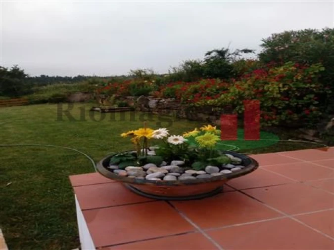 Quinta T5 para Venda em Rio Maior Foto 50