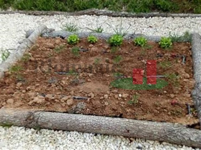 Quinta T5 para Venda em Rio Maior Foto 54