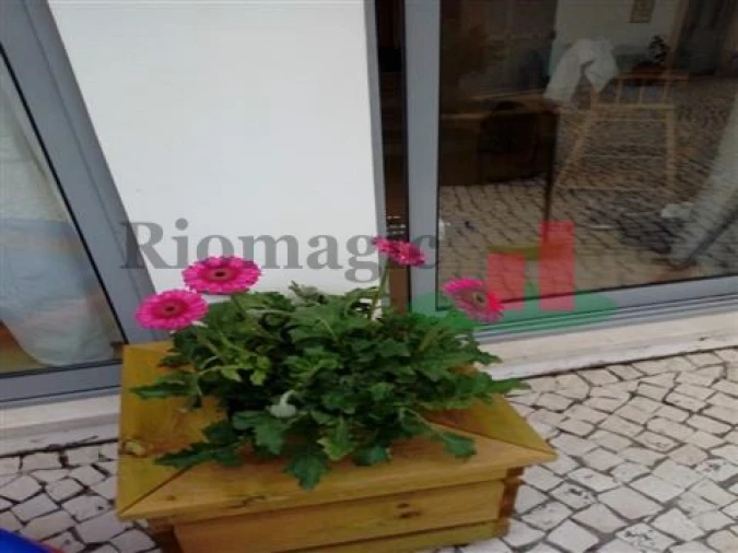 Quinta T5 para Venda em Rio Maior Foto 64