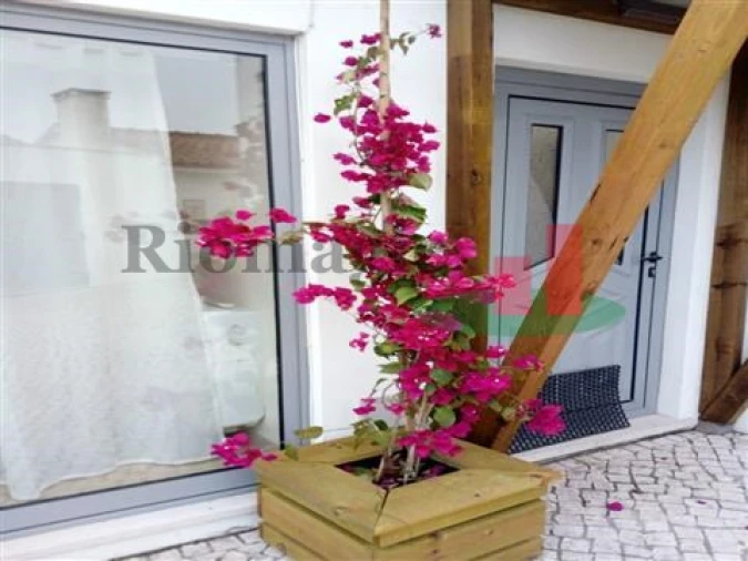 Quinta T5 para Venda em Rio Maior Foto 67