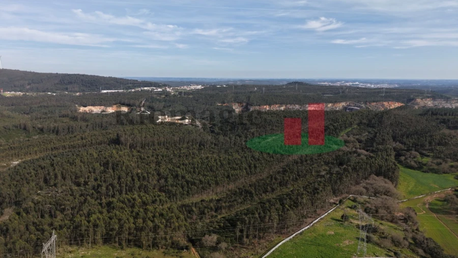 Quinta T5 para Venda em Rio Maior Foto 102