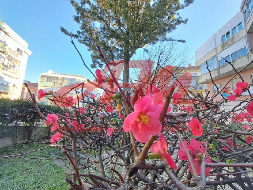 Apartamento T1 para Venda em Águas Livres Foto 10