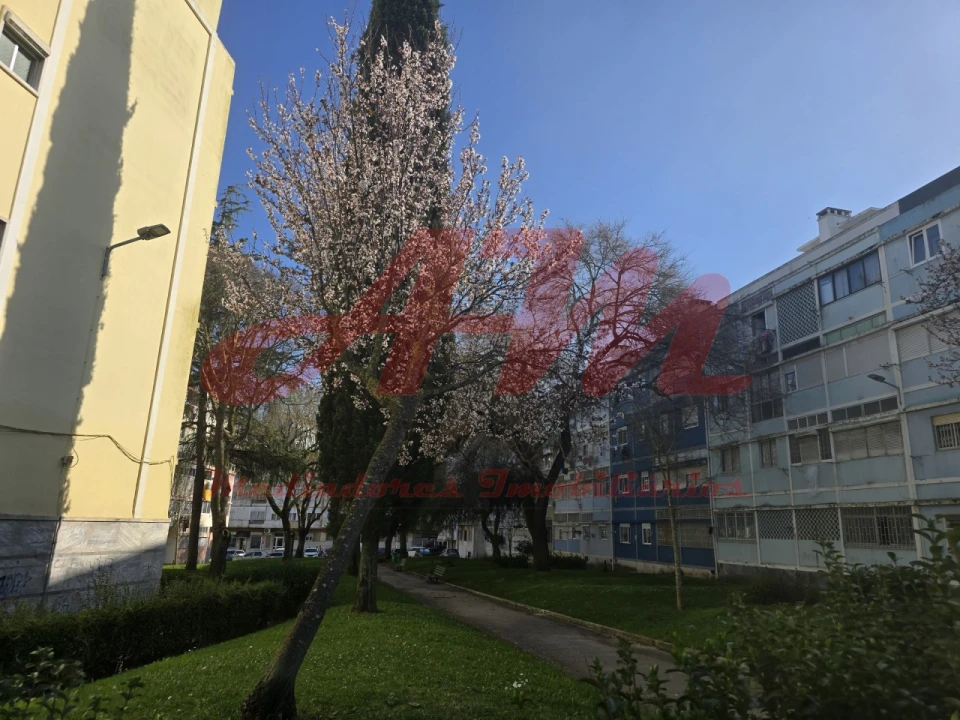 Apartamento T2 para Venda em Águas Livres Foto 2