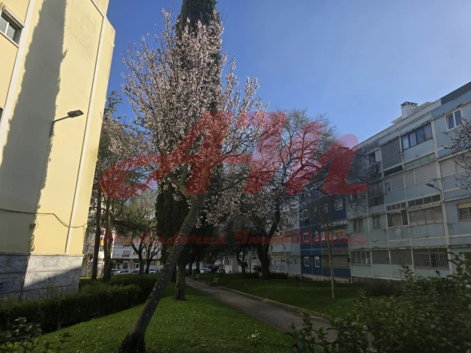 Apartamento T2 para Venda em Águas Livres Foto 2